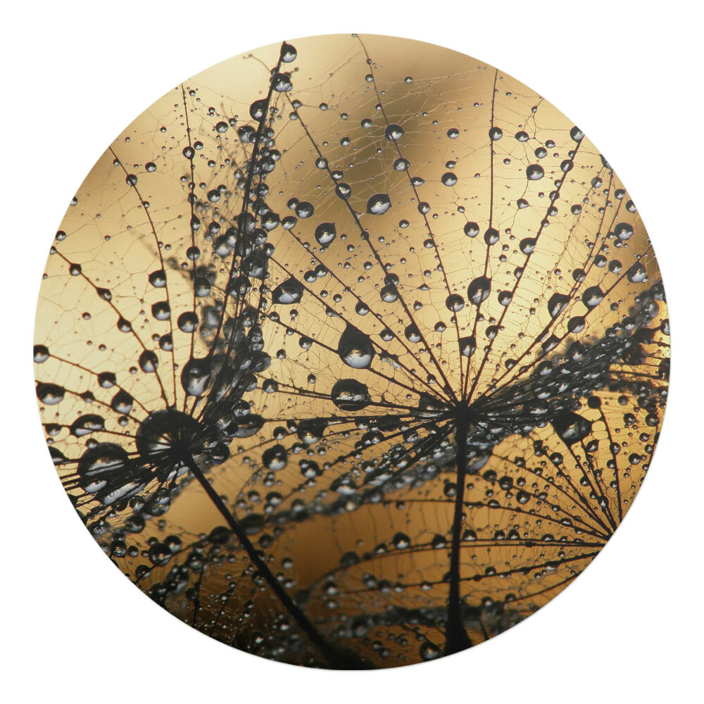 Ochranná podložka na podlahu kulatá Kapky na pavučině