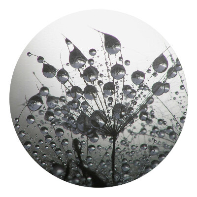 Podložka pod židli kulatá Kapky na pampelišku