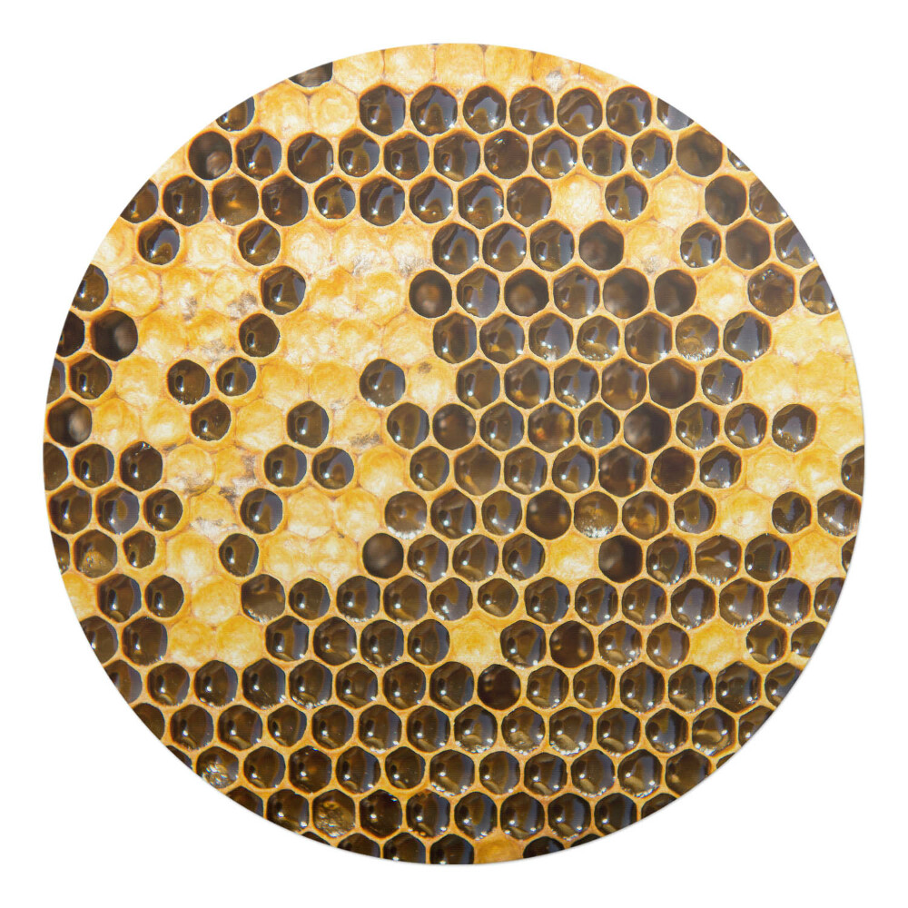 Ochranná podložka na podlahu kulatá Plást včel