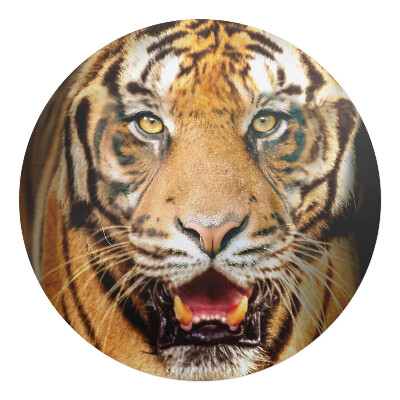 Ochranná podložka pod židli kulatá Tygr - detail tlamy