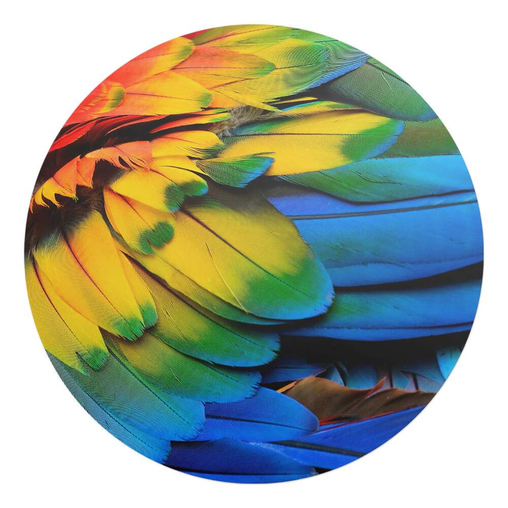 Ochranná podložka na podlahu kulatá Barevné papouščí peří