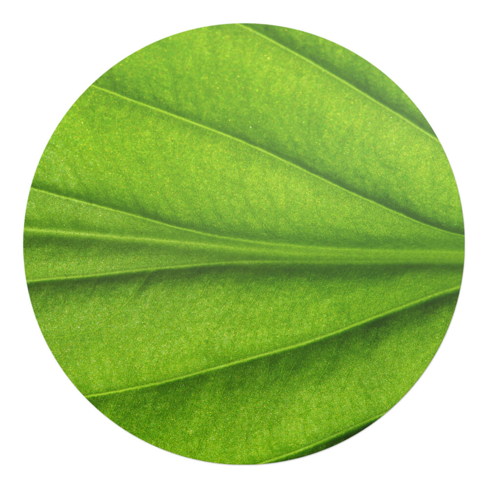 Podložka pod židli kulatá List zblízka