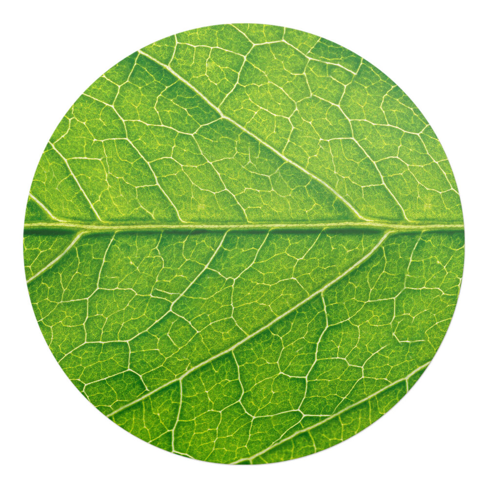 Ochranná podložka pod židli kulatá Detail listu