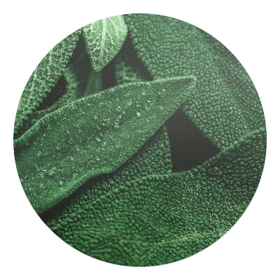 Podložka pod židli kulatá Listy zblízka