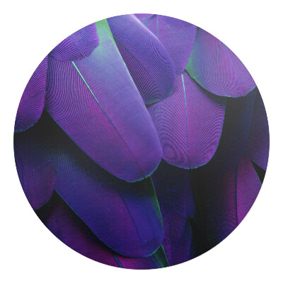 Ochranná podložka na podlahu kulatá Peří v odstínech