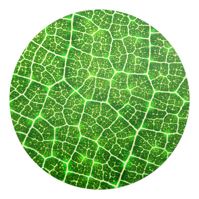 Ochranná podložka na podlahu kulatá Detail listu