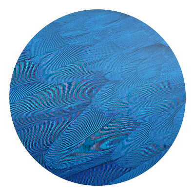 Ochranná podložka pod židli kulatá Ptačí peří zblízka