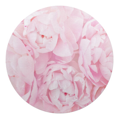 Podložka pod židli kulatá Pastelové pivoňky