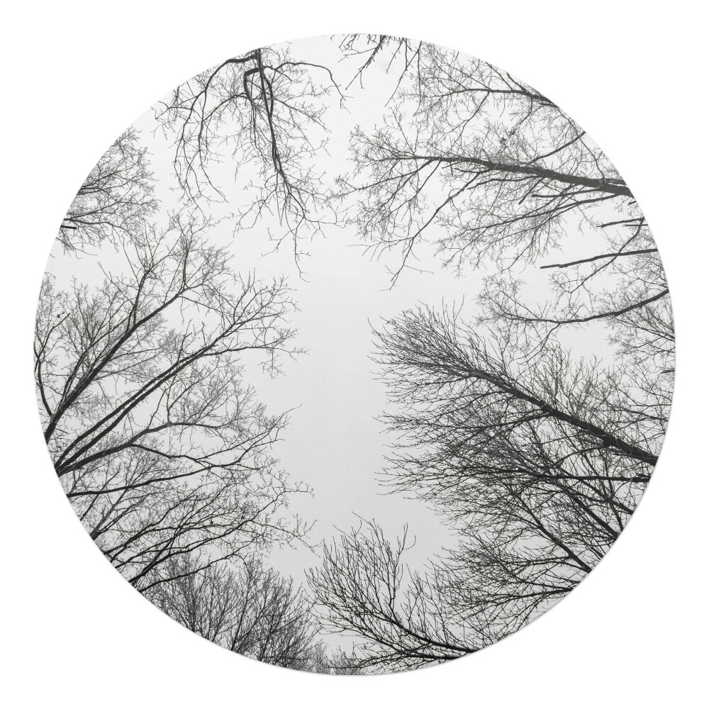 Podložka pod křeslo kulatá Holé větve stromů