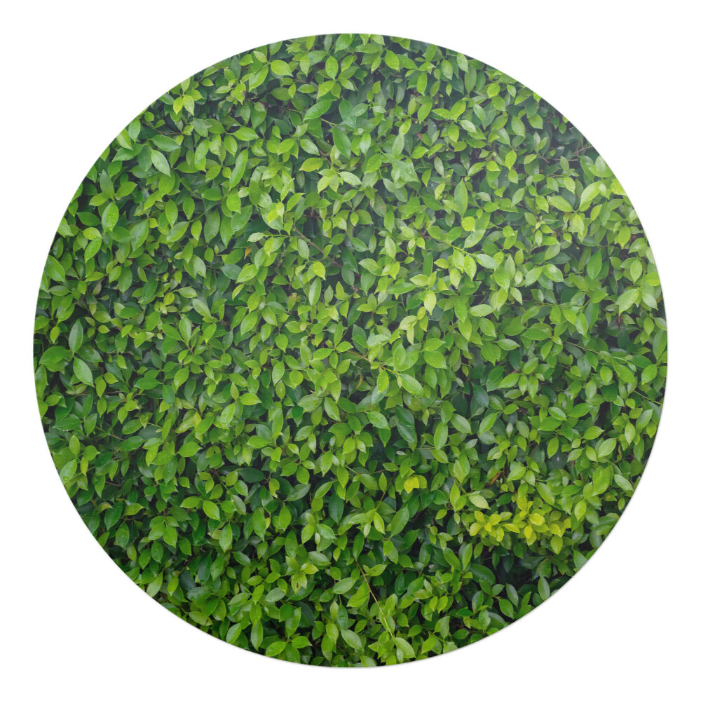Podložka pod křeslo kulatá Zelená stěna z listí
