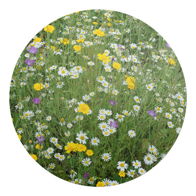 Podložka pod křeslo kulatá Květnatá louka
