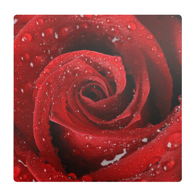 Podložka pod křeslo Růže s kapkami vody