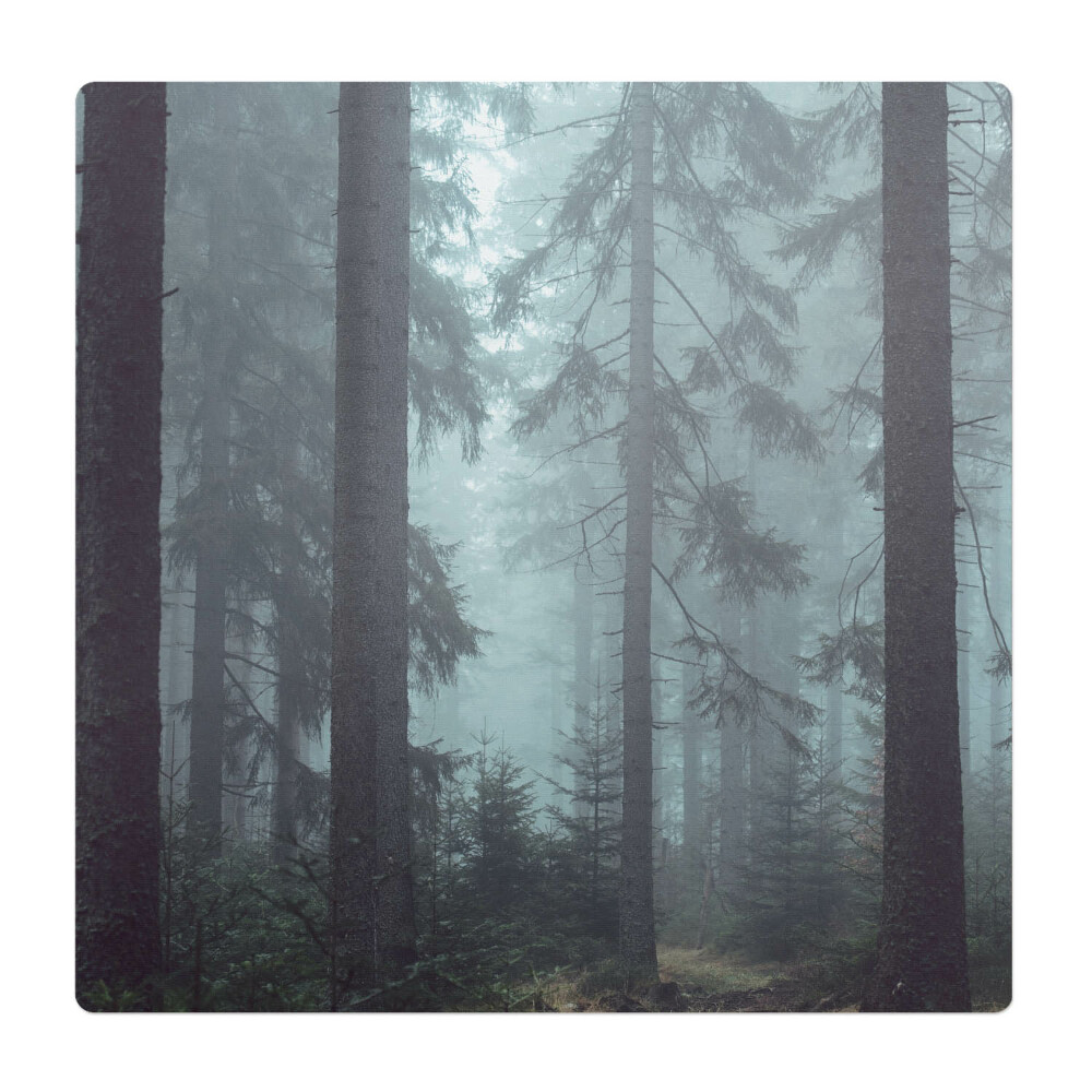 Podložka pod židli Mlžný jehličnatý les