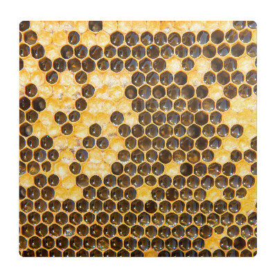 Ochranná podložka na podlahu Plást včel