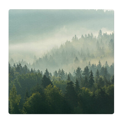 Ochranná podložka pod židli Mlžný les za úsvitu