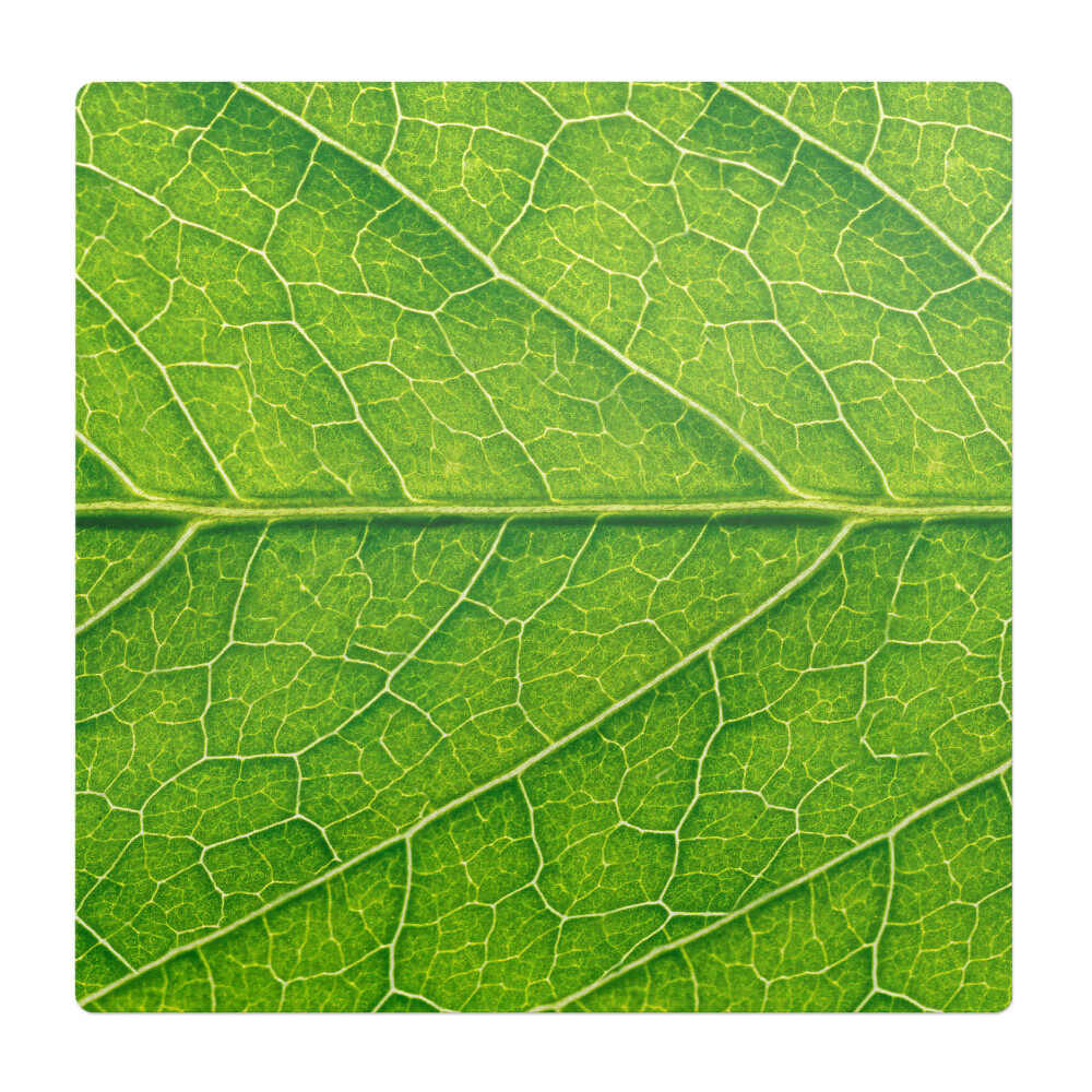 Ochranná podložka pod židli Detail listu