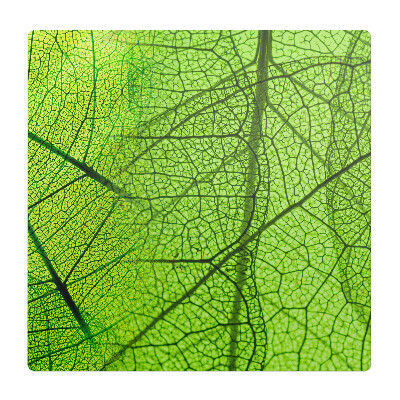 Podložka pod židli Detail listu