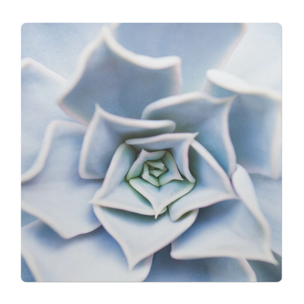 Ochranná podložka pod židli Spirální sukulenty