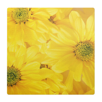 Ochranná podložka na podlahu Sluneční květiny