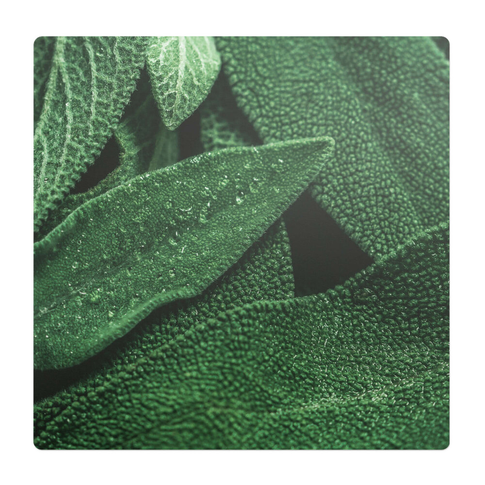 Podložka pod židli Listy zblízka