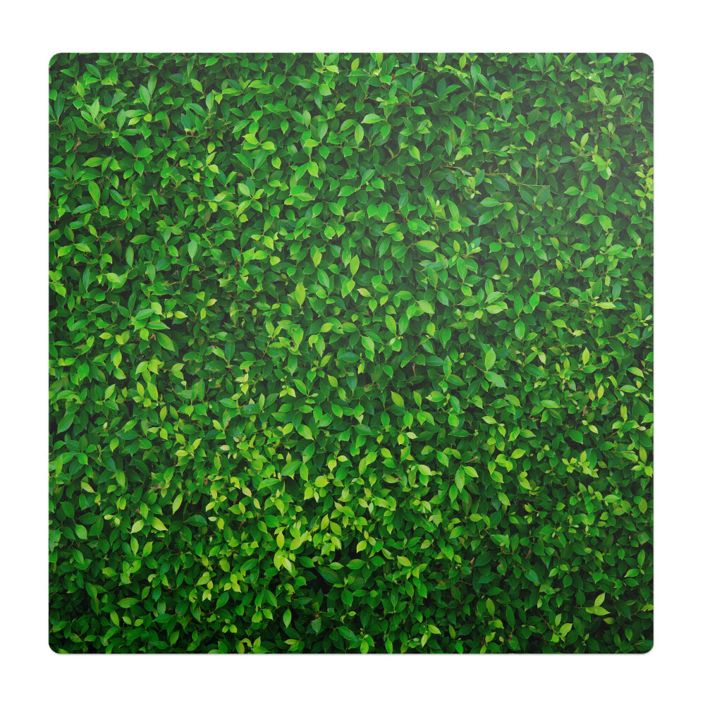 Podložka pod židli Listnatá stěna přírody