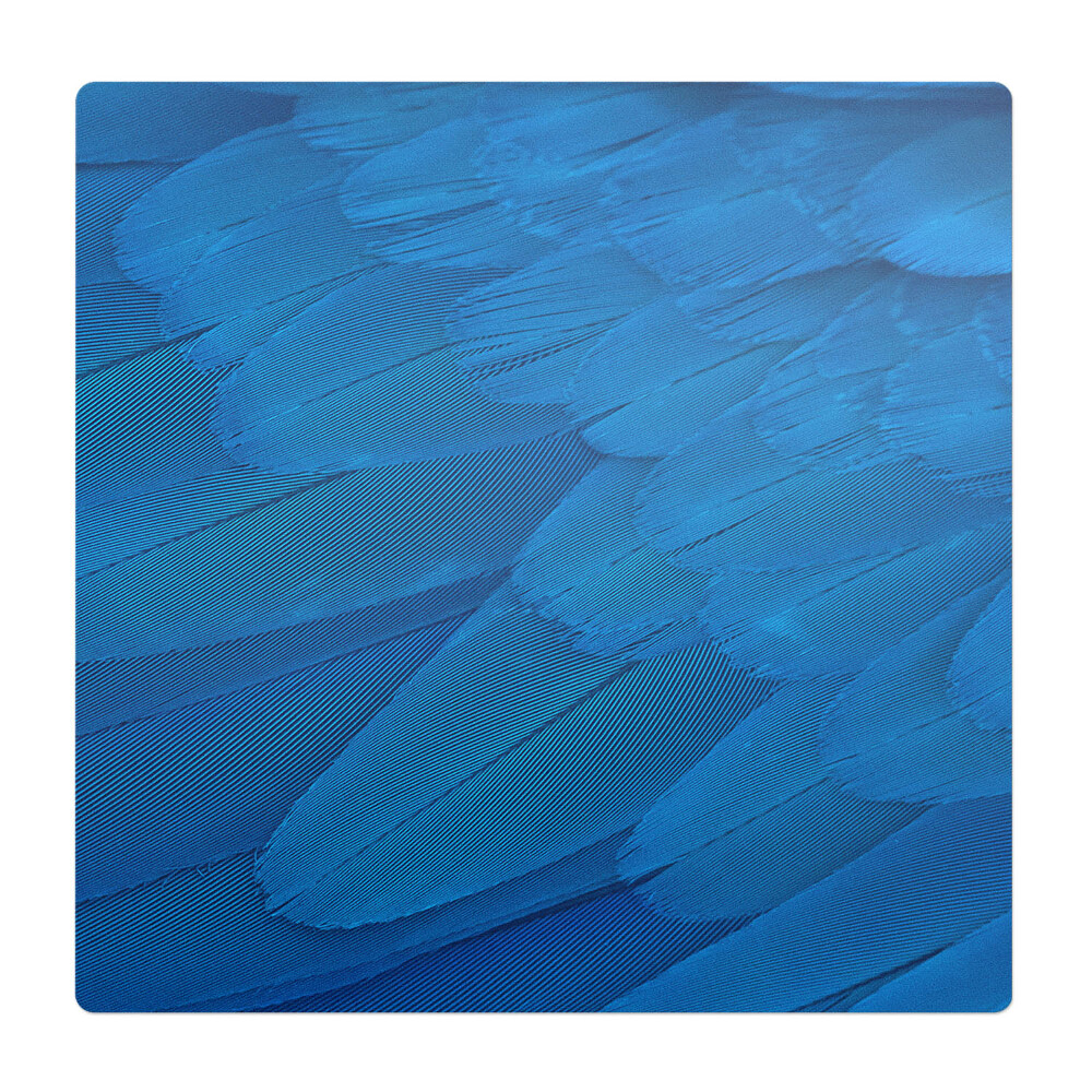 Ochranná podložka pod židli Ptačí peří zblízka