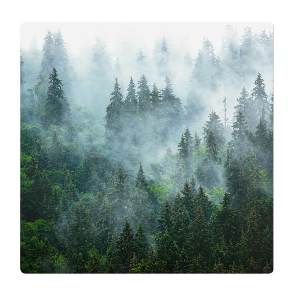 Ochranná podložka pod židli Mlžný jehličnatý les