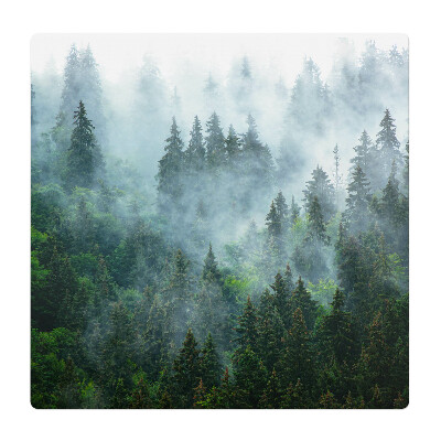 Ochranná podložka pod židli Mlžný jehličnatý les