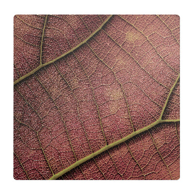 Podložka pod židli Struktura listu