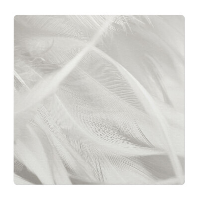 Ochranná podložka pod židli Jemné peří