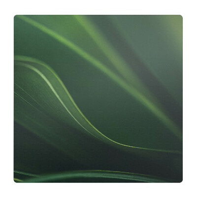 Podložka pod židli Detail listů