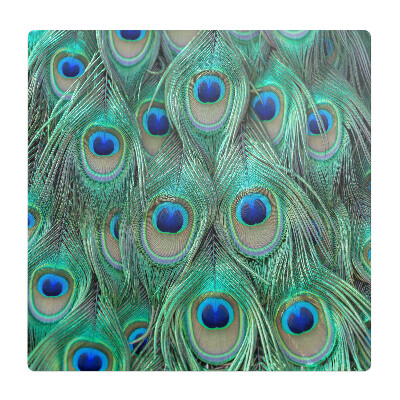 Ochranná podložka na podlahu Vzor pavího peří