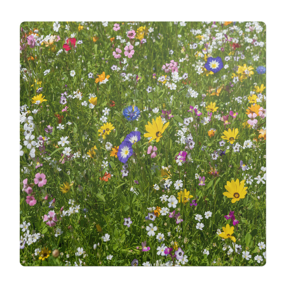 Podložka pod židli Květnatá louka