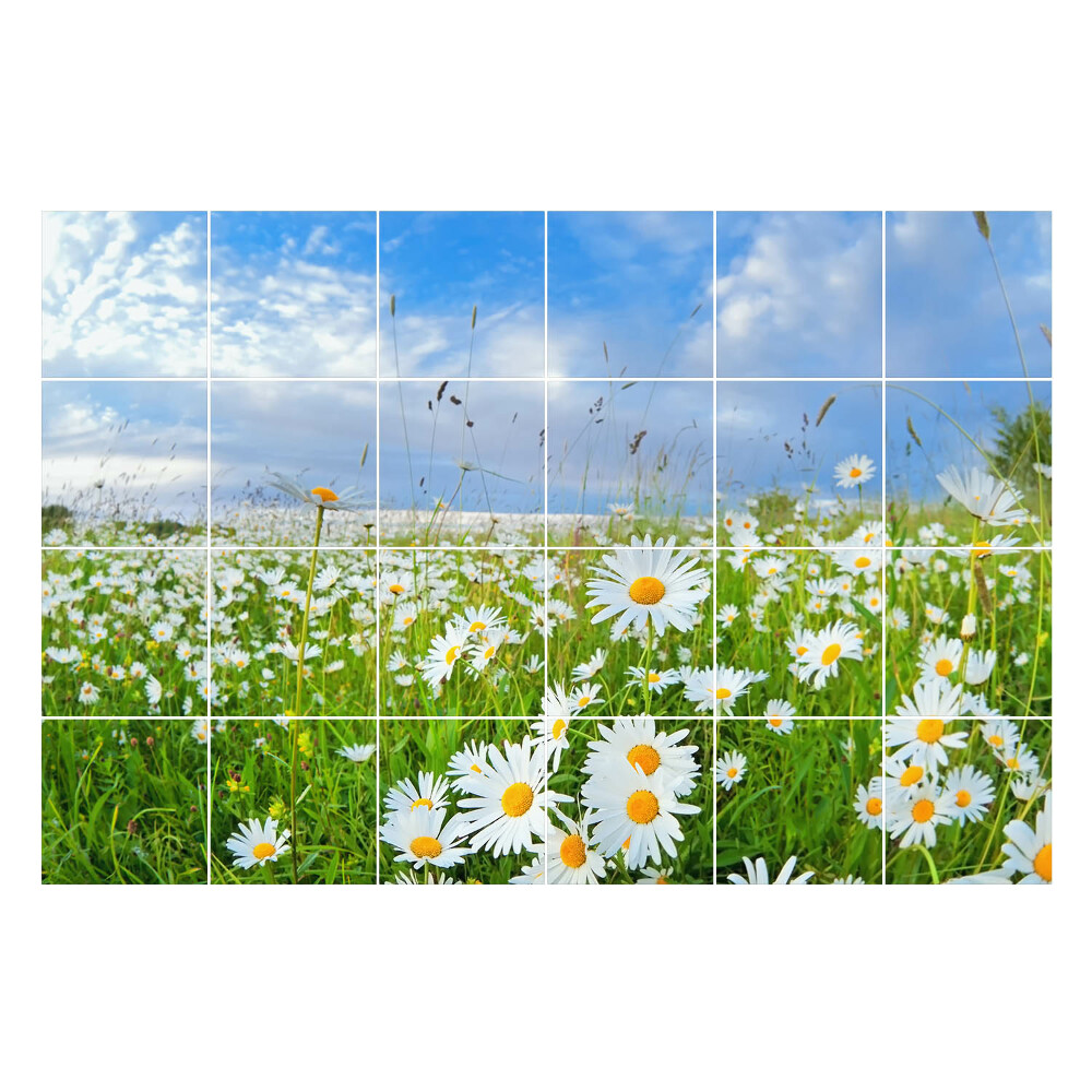 Nálepka na dlaždice Květinové louky krajiny