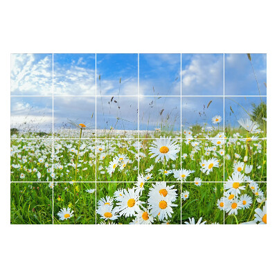 Nálepka na dlaždice Květinové louky krajiny