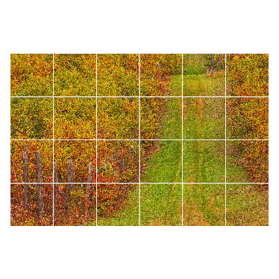 Nálepka na dlaždice Podzimní stezka v přírodě