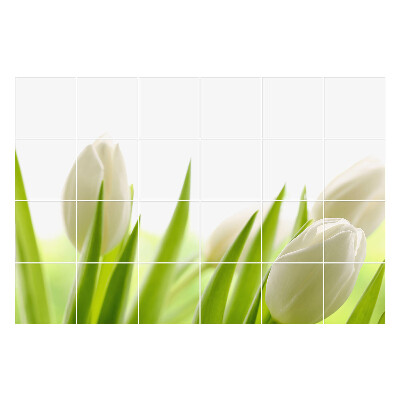 Nálepka na dlaždice Jemné tulipány v přírodě