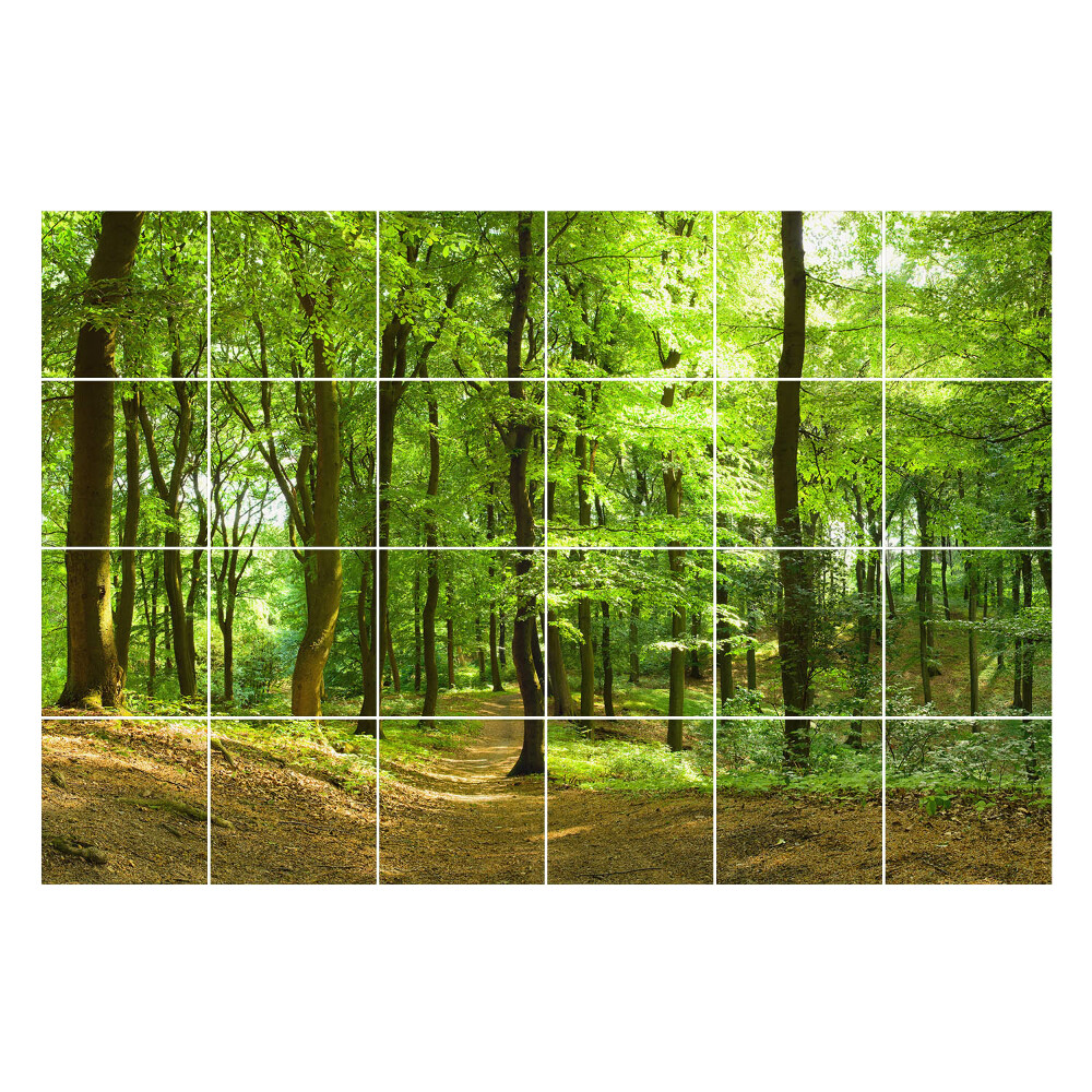 Nálepka na dlaždice Zelený les s alejí