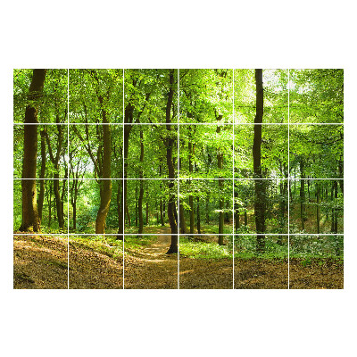 Nálepka na dlaždice Zelený les s alejí