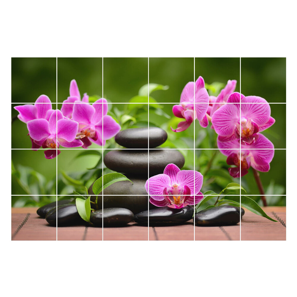 Nálepka na dlaždice Kameny a květy orchidejí