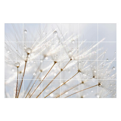 Nálepka na dlaždice Kapky na pampeliškové chmýří