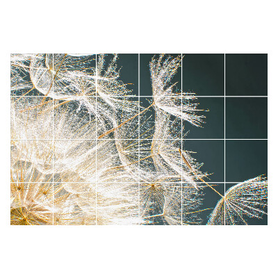 Samolepka na dlaždice Jemná semínka pampelišky