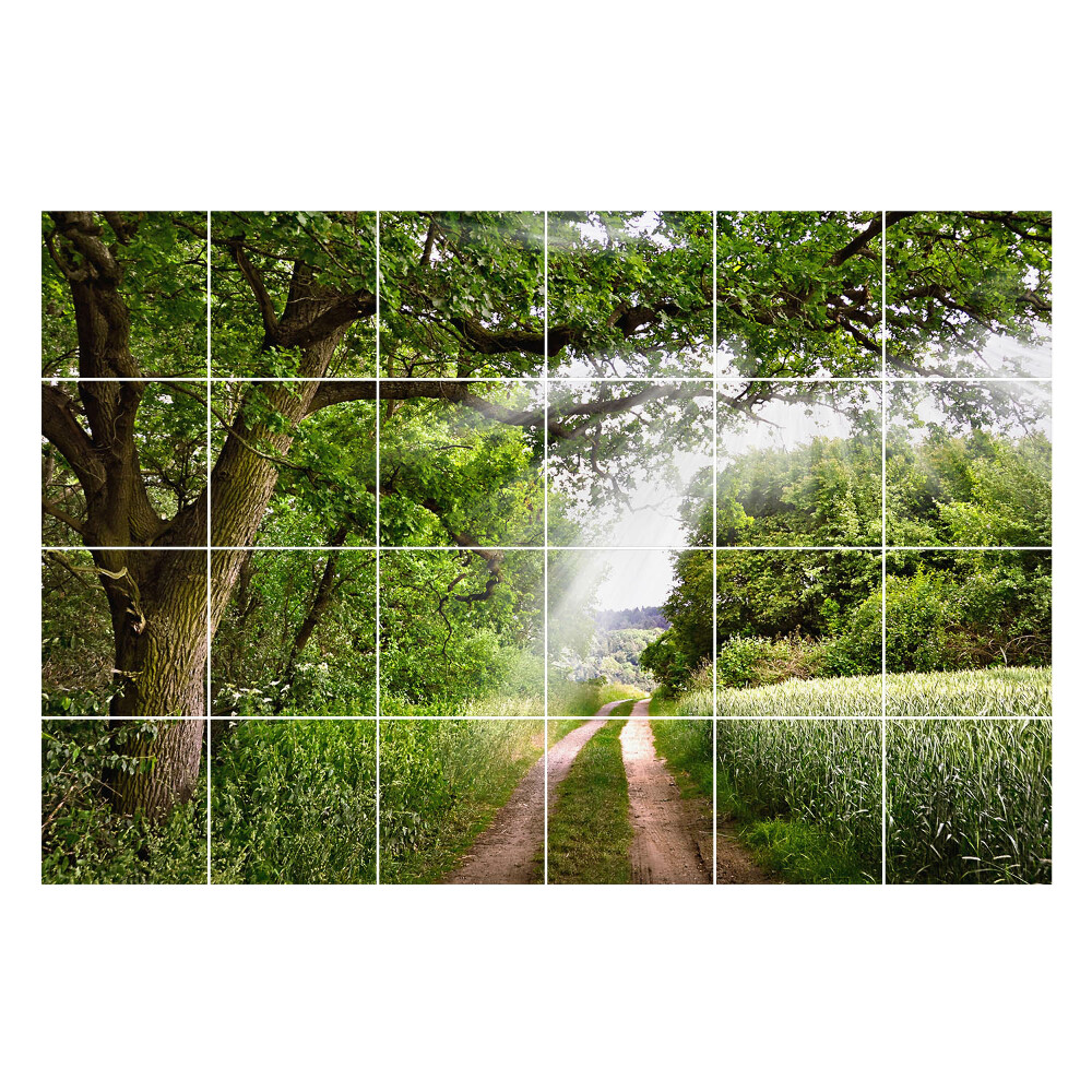 Nálepka na dlaždice Zelená cesta v lese