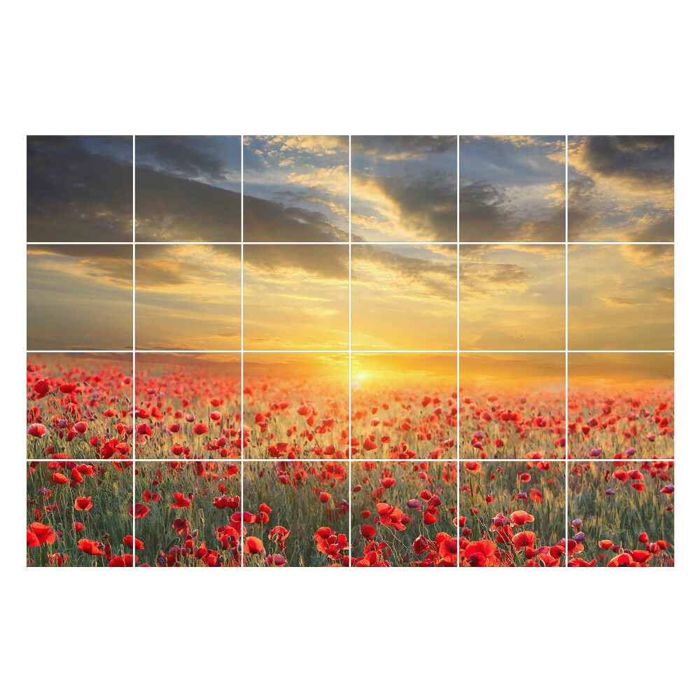 Nálepka na dlaždice Květinová krajina při západu slunce