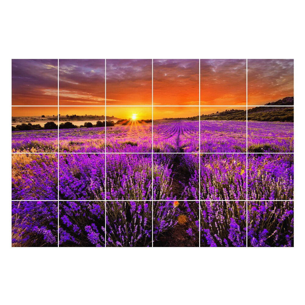 Samolepka na dlaždice Květinová krajina při západu slunce