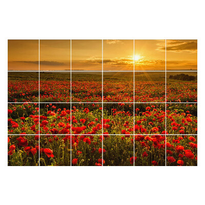 Nálepka na dlaždice Květinová louka při západu slunce