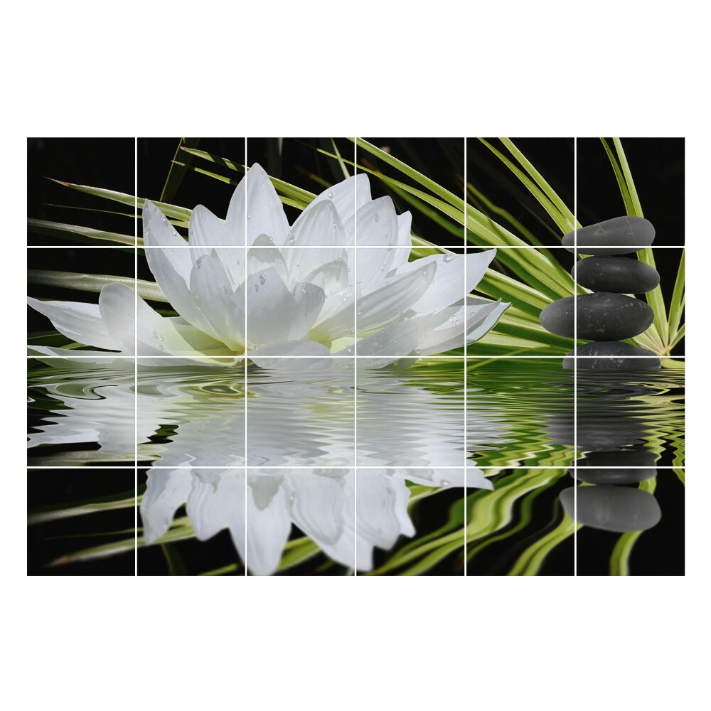 Nálepka na dlaždice Květina na vodě s kameny