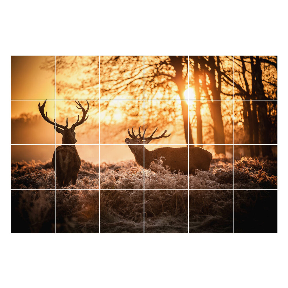 Samolepka na dlaždice Jelen v ranní mlze