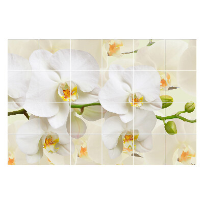 Samolepka na dlaždice Květinové motivy orchidejí