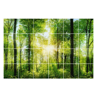 Samolepka na dlaždice Zelený les s paprsky